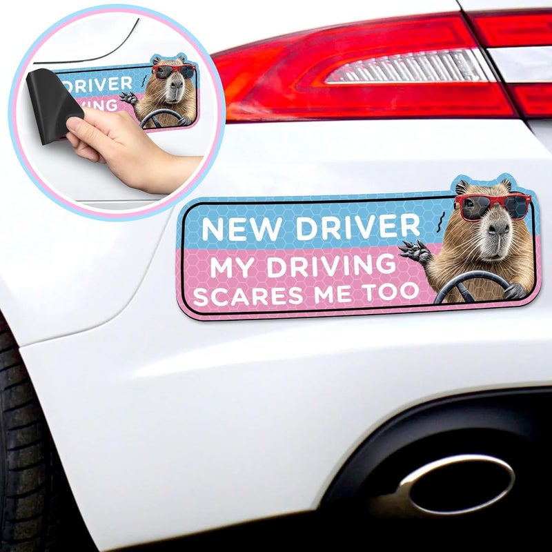 CNhoqc New Student Driver Magnet - 4pcs Cute Capybaras Please Be Patient Student Novice Driver Magnetic Reflective Bumper Sticker Safety Attention Signs Reusable Movable Car Magnet Safety Warning - Image 5